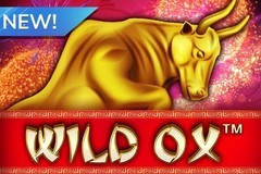 WILD OX